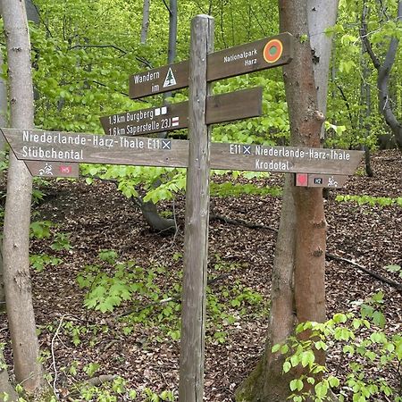 Harzsight180 Lejlighed Bad Harzburg Eksteriør billede